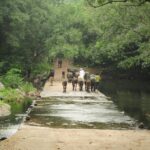 Polo forest visit in Monsoon